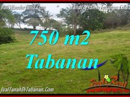  Tanah for sale in Selemadeg, Tabanan, Selemadeg