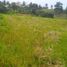  Tanah for sale in Selemadeg, Tabanan, Selemadeg