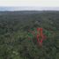  Land for sale in Selemadeg, Tabanan, Selemadeg