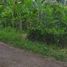  Land for sale in Selemadeg, Tabanan, Selemadeg