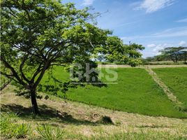  Terreno (Parcela) en venta en Ulloa, Valle Del Cauca, Ulloa