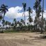  Land for sale in Escuinapa, Sinaloa, Escuinapa