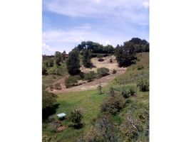  Grundstück zu verkaufen in Rionegro, Antioquia, Rionegro, Antioquia