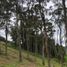  Land for sale in Retiro, Antioquia, Retiro