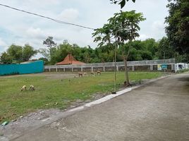  Land for sale in Yogyakarta, Kalasan, Sleman, Yogyakarta