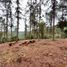  Land for sale in Envigado, Antioquia, Envigado