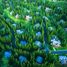  Terreno (Parcela) en venta en Tagaytay City, Calabarzon, Tagaytay City