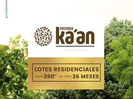  Grundstück zu verkaufen in Merida, Yucatan, Merida