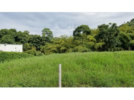  Terreno (Parcela) en venta en Pereira, Risaralda, Pereira