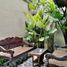 4 Schlafzimmer Haus zu verkaufen in Mlati, Yogyakarta, Mlati, Sleman, Yogyakarta