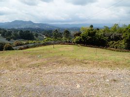  Terrain for sale in San Carlos, Antioquia, San Carlos