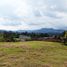  Terrain for sale in San Carlos, Antioquia, San Carlos