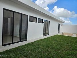 3 Schlafzimmer Wohnung zu verkaufen in Conkal, Yucatan, Conkal