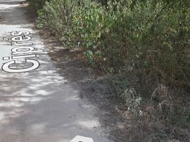  Grundstück zu verkaufen in Conkal, Yucatan, Conkal