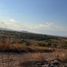  Land for sale in Zacatepec De Hidalgo, Morelos, Zacatepec De Hidalgo