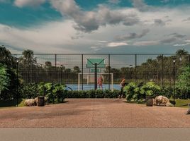  Land for sale in Hunucma, Yucatan, Hunucma