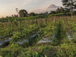  Terreno (Parcela) en venta en Seyegan, Yogyakarta, Seyegan
