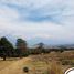  Land for sale in Temamatla, Mexico, Temamatla