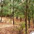  Land for sale in Temamatla, Mexico, Temamatla