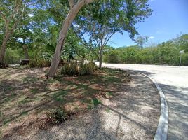  Grundstück zu verkaufen in Merida, Yucatan, Merida, Yucatan