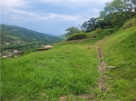  Terreno (Parcela) en venta en Manizales, Caldas, Manizales