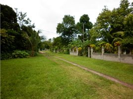  Grundstück zu verkaufen in Anton, Cocle, El Chiru