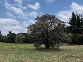  Terreno (Parcela) en venta en Magdalena Contreras, Ciudad de México, Magdalena Contreras