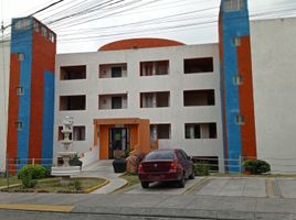 1 Habitación Apartamento en alquiler en Monterrey, Nuevo León, Monterrey, Nuevo León