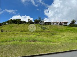  Terreno (Parcela) en venta en Manizales, Caldas, Manizales