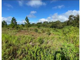  Land for sale in Alto Boquete, Boquete, Alto Boquete