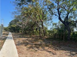  Land for sale in Rio Hato, Anton, Rio Hato