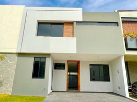 4 Bedroom House for rent in Zapopan, Jalisco, Zapopan, Jalisco