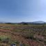  Land for sale in Amatitan, Jalisco, Amatitan, Jalisco