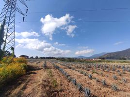  Land for sale in Amatitan, Jalisco, Amatitan, Jalisco