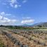  Land for sale in Amatitan, Jalisco, Amatitan, Jalisco