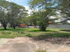  Land for sale in Tumbaco, Quito, Tumbaco