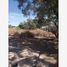 Land for rent in Torreon, Coahuila, Torreon
