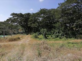  Grundstück zu verkaufen in Guayaquil, Guayas, Guayaquil, Guayaquil