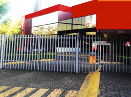 781.10 SqM Office for rent in Mexico City, Alvaro Obregon, Mexico City