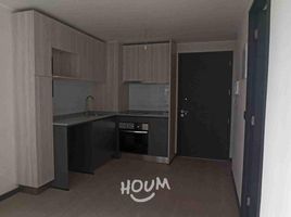 1 Bedroom Condo for rent in Pirque, Cordillera, Pirque