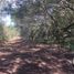 Studio House for sale in Linares, Nuevo Leon, Linares