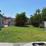  Land for sale in Reynosa, Tamaulipas, Reynosa