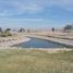  Terreno (Parcela) en venta en Torreon, Coahuila, Torreon