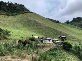 10 Habitación Villa en venta en Versalles, Valle Del Cauca, Versalles