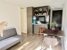 2 Habitación Departamento en venta en Santiago, Puente Alto, Cordillera, Santiago