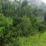  Land for sale in Cali, Valle Del Cauca, Cali