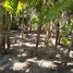  Grundstück zu verkaufen in Othon P Blanco, Quintana Roo, Othon P Blanco