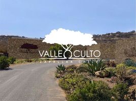  Land for sale in Chile, Nogales, Quillota, Valparaiso, Chile