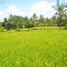  Tanah for sale in Ubud, Gianyar, Ubud