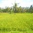  Land for sale in Ubud, Gianyar, Ubud